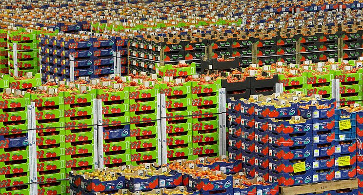 Vacature Poeldijk