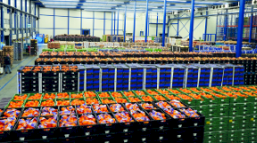 Vacature Poeldijk