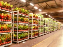 Expeditie medewerker Expeditie medewerker