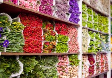 Logistiek medewerker/ Inpakker bloemen Logistiek medewerker/ Inpakker bloemen